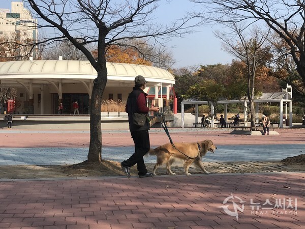 인근 주민이 개를 대리고 공원을 산책하고 있다. 