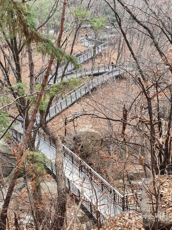 불암산 기슭 나무데크길