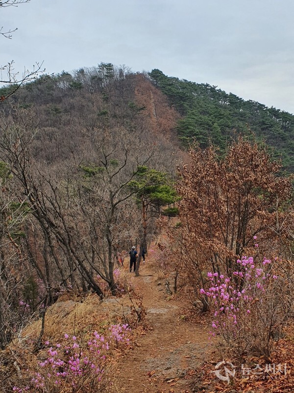 문수산 남측 등산로