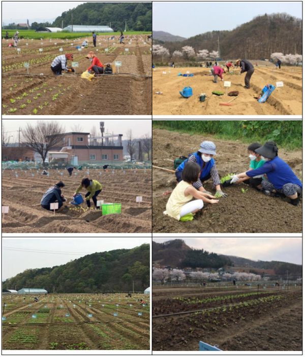 함께서울 친환경농장 개장 사진