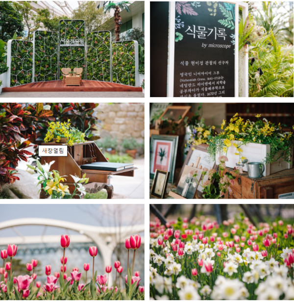 식물원 관련 이미지 (사진=서울시)