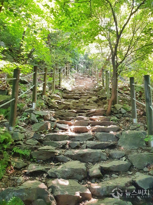 검단산 산행 계단길. 검단산은 산행거리가 짧은 편이지만 경사도가 만만치 않다. 한강변에 우뚝 솟은 지형 때문에 가파른 경사로에 돌로 된 계단길이 많아서 등산객들을 지치게 한다.