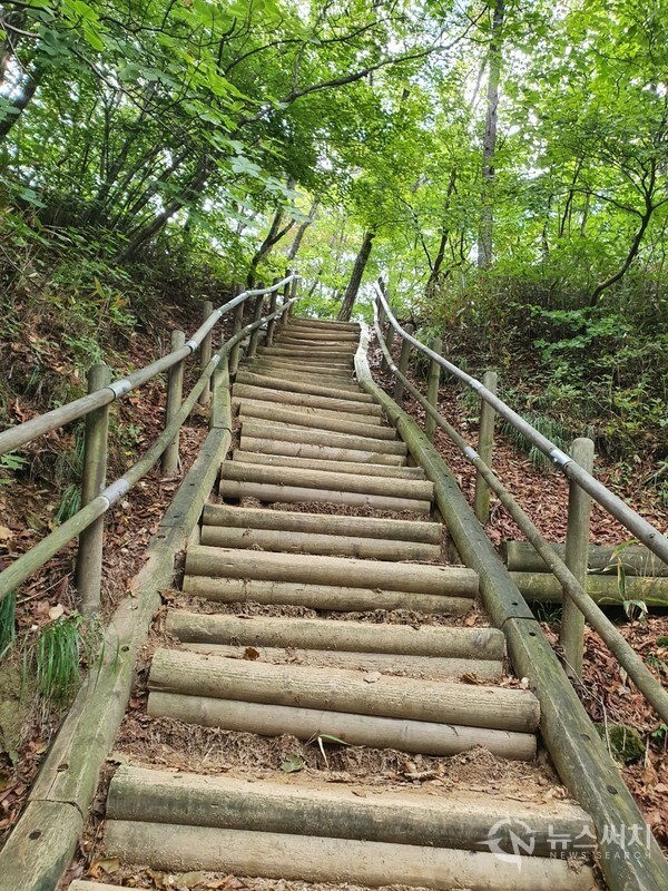 사다리병창길 급경사 나무계단. 사다리병창길은 아주 경사가 급한 철계단과 나무계단이 연이어 펼쳐져 있다. 약 2시간 20분 정도 터질듯한 심장을 억누르고 천근만근 처지는 두 다리를 억지로 이끌고 오르다보면 사다리병창길이 어느덧 끝나고 치악산 정상 비로봉에 도착하게 된다.
