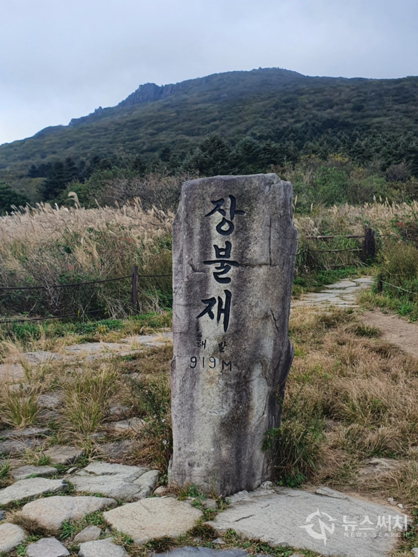 장불재 표지석. ‘장불재(長佛峙)’는 광주시 동구 용연동과 전남 화순군 이서면 영평리 경계에 위치한 해발 919m 높이의 고개로 장불재 인근에는 방송국 송신소와 통신시설 등이 설치되어 있다. 또한 이곳부터 ‘백마능선’이 주능선에서 분리되어 낙타봉, 안양산으로 이어진다.