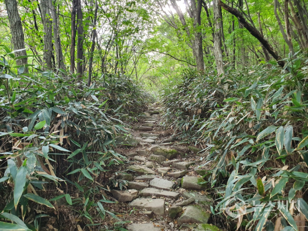 꼬막재 가는 길. 무등산국립공원관리사무소 원효분소에서 꼬막재 가는 길은 상수리나무 등 다양한 나무와 수풀로 무성하다. 또한 산길에는 크고 작은 돌들이 깔려 있다.