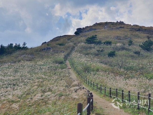  서석대에서 하산하여 목교로 내려와 목교 갈림길에서 중봉(해발 915m)에 이르는 길은 과거 군부대가 주둔하고 있었던 곳이었는데 군부대를 이전한 뒤 억새와 야생화 등을 식재하여 복원한 곳이다. 지금은 가을 무등산 최고의 억새군락지로 유명해졌는데, 중봉복원지에 넓게 펼쳐져 있는 억새군락지에 가을 바람이 불고 햇빛이 비추면 억새들이 파도처럼 은빛 물결을 만들면서 출렁이는 모습을 연출하는데 장관을 이룬다.