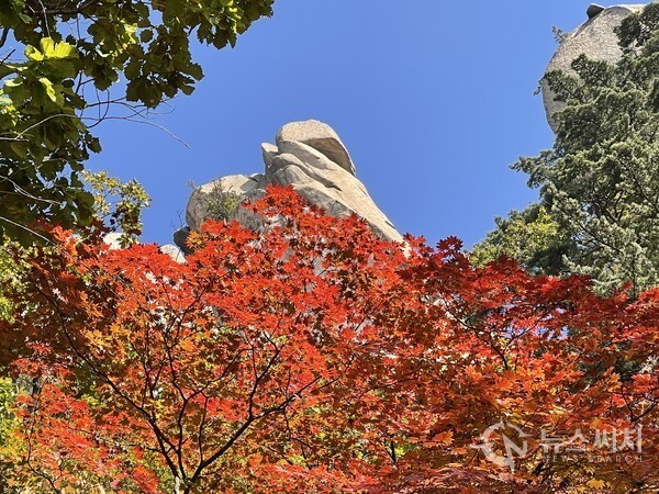 도봉산의 단풍