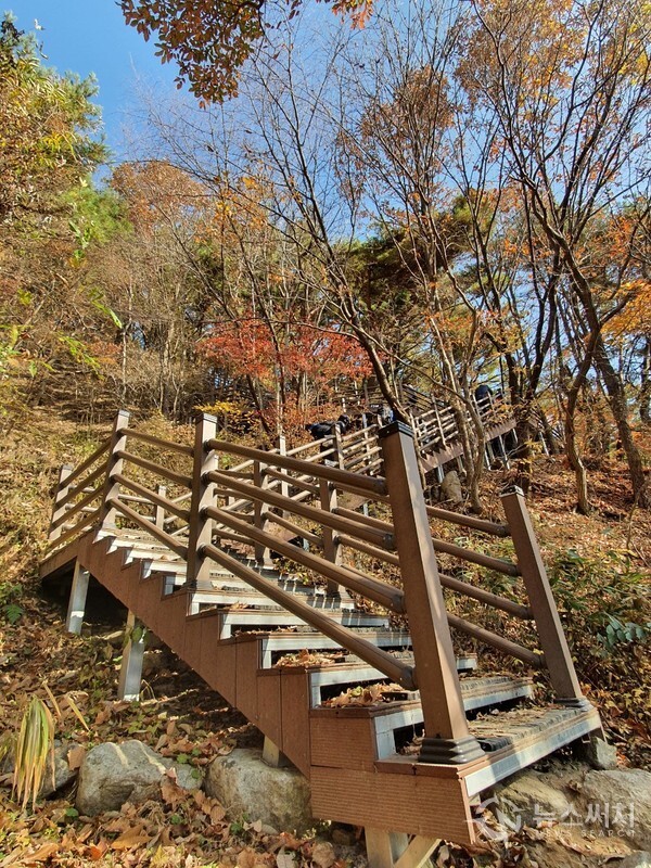 모악산 무제봉 올라가는 길. 완주군 구이면 모악산 동쪽 선녀계곡과 대원사를 지나 모악산 정상에 올라가는 등산코스 중간에 무제봉이 있다. 대원사 지나 무제봉까지 올라가는 등산로는 경사가 심해 나무계단이 설치되어 있다. 단풍이 곱게 물든 모악산 무제봉 오르는 등산로에 가을이 깊어가고 있다.
