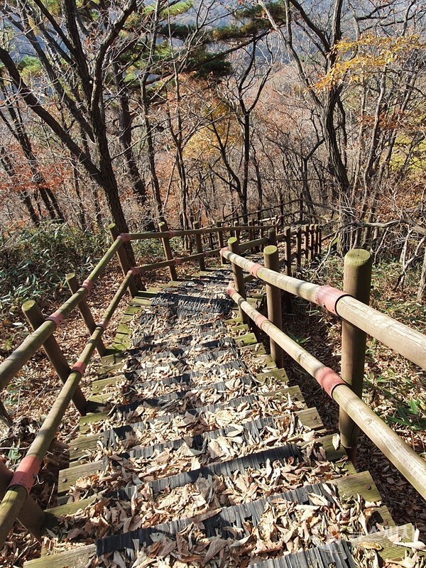  모악산 신선대 인근 등산로 계단. 모악산 정상에서 김제 금산사로 내려가는 등산로 나무계단에는 떨어진 낙엽이 쌓여 가을 정취를 물씬 풍기고 있다. 낭만적이기는 하지만 하산할 때 낙엽이 쌓인 길은 미끄러워 상당히 조심해야 한다.