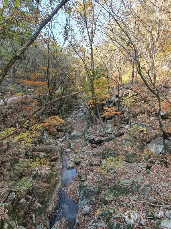 금산사계곡. 모악산 정상에서 서쪽 기슭으로 계곡이 흘러 김제 금산면 금평저수지로 모인다. 모악산 서쪽 산록에서 시작하여 금산사를 지나 금평저수지로 흐르는 계곡을 ‘금산사계곡’이라고 하는데, 가을 낙엽이 떨어진 금산사계곡에는 다양한 색깔의 울긋불긋한 단풍이 캔버스를 수놓듯 대자연에 흐트러져 있다.