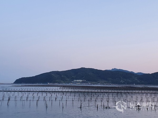 눌차도 갯벌 종패양식장. 신호산단과 녹산산단 남쪽에는 ‘가덕도’라는 큰 섬이 있다. 가덕도에서 거제도까지는 가덕해저터널이 뚫려있어 배를 이용하지 않고도 거제도까지 차량으로 갈 수 있다. 가덕도 바로 옆에 눌차도가 있는데, 눌차도와 가덕도는 ‘천가교’라는 다리와 ‘동선방조제’로 연결되어 있다. 눌차도 앞바다는 굴 종패양식장으로 유명한데 눌차만 앞바다에는 온통 굴 채묘를 위한 나무들이 심어져 있어 진풍경을 이루고 있다. 