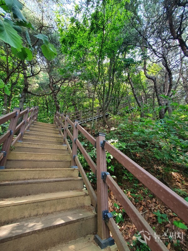 계족산성 오르는 나무계단길. 계족산 임도 갈림길에서 경사가 급한 나무계단 등을 이용해 약 20여분 정도 올라가면 ‘계족산성’에 도착하게 된다.
