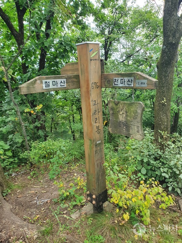 꽈라리봉 정상 이정표. 천마산과 철마산을 잇는 천마지맥 산행로 중간에 해발 676m의  ‘꽈라리봉’이 있다. ‘꽈라리봉’ 정상에는 별도의 정상석은 없고 이정표에 꽈라리봉 정상과 해발고도 676m를 나타내는 표기가 함께 기재되어 있다. 