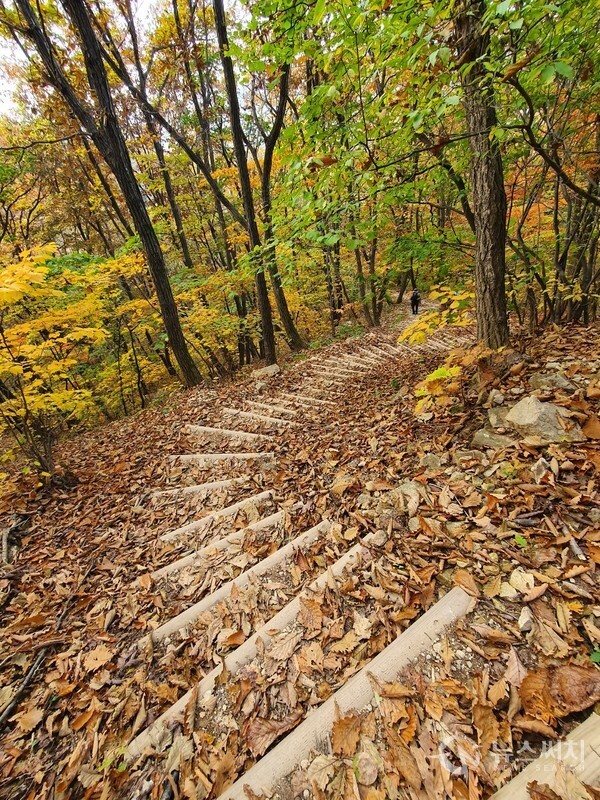 고대산 3등산로 내리막 나무계단길. 고대산 3등산로(코스) 하산코스는 고대산 정상에서 시작하여 마여울, 표범폭포를 지나 고대산 캠핑리조트까지 이어지는 3km가 약간 넘는 길이의 코스이다. 암릉과 약간 경사가 있는 내리막길로 이루어져 있어 곳곳에 나무계단길이 만들어져 있다. 가을 낙엽과 단풍으로 덮인 내리막 나무계단길은 운치가 있지만 미끄러질 우려가 있어 조심히 걸어 내려와야 된다. 