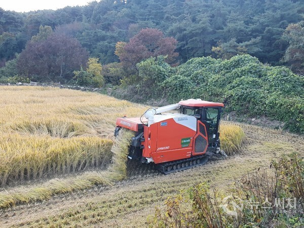 화순 이서면 송계마을 논에서 벼 수확 중인 콤바인. 무돌길 제7길 도중에는 ‘송계마을’, ‘용강마을’이 있다. 10월말 ‘송계마을’ 논에는 콤바인이 가을 추수를 한참하고 있었는데, 풍요와 결실의 계절 가을 농촌의 행복한 번잡스러움이 넘치는 모습을 드러내 보이고 있었다. 