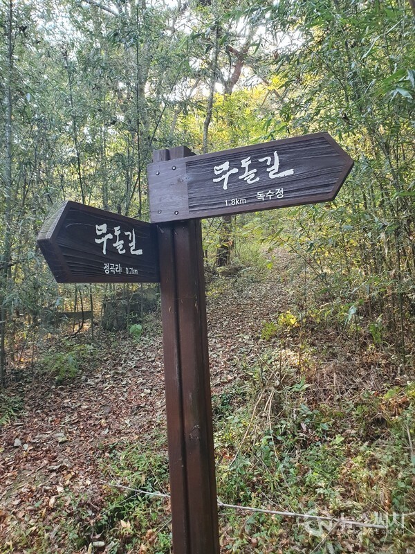 함충이재. 무돌길 전남 담양구간 첫 번째 길인 제5길 ‘독수정길’은 전남 담양군 가사문학면 연천리 ‘산음교’에서 시작하여 ‘독수정’을 지나고 ‘함충이재’를 넘어 정곡리 ‘정곡마을’을 거쳐 경상리 ‘경상마을’ 정자까지 이어지는 코스이다. ‘독수정’을 지난 뒤 산길을 따라 남쪽으로 오르다 보면 ‘함충이재’라는 고개 정상에 도달하게 된다. ‘함충이재’는 꾀꼬리가 벌레를 머금고 있는 형국이라 하여 ‘함충이’란 이름을 갖게 된 고개이다.  