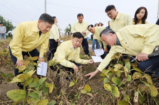 전북도, 김제 벼·논콩 피해 현장 방...