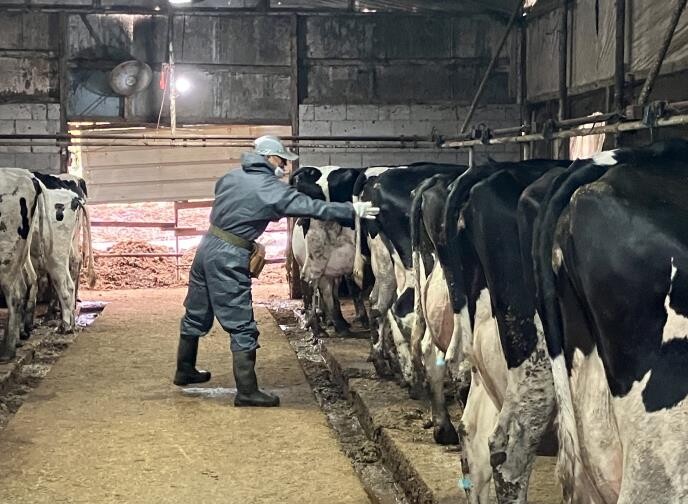 경기도, 공수의사 활동 지원 위한 수...