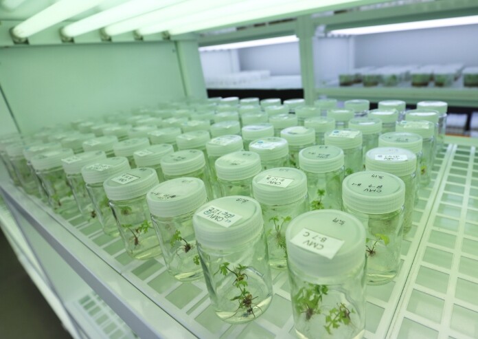 산림청 국립산림과학원-경상북도청, 산...