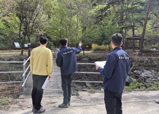 산림청, "돈벌이용 산림 훼...