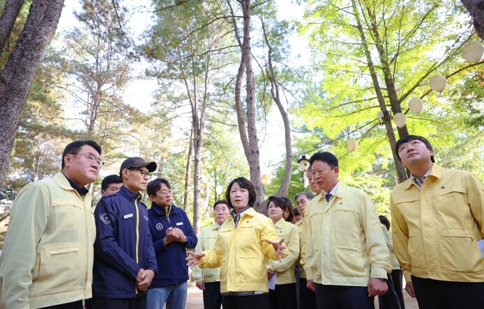 추미애, 소나무재선충병 확산 막기 위...
